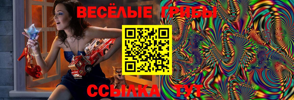 Галлюциногенные грибы Psilocybe Надым